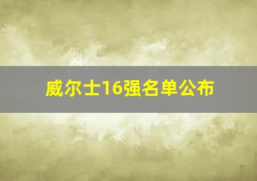 威尔士16强名单公布