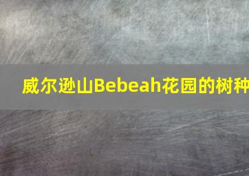 威尔逊山Bebeah花园的树种