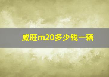 威旺m20多少钱一辆