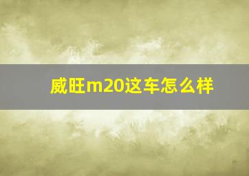 威旺m20这车怎么样