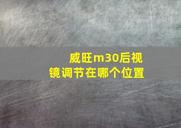 威旺m30后视镜调节在哪个位置