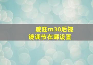 威旺m30后视镜调节在哪设置