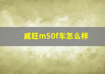 威旺m50f车怎么样