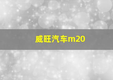 威旺汽车m20