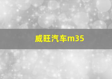 威旺汽车m35