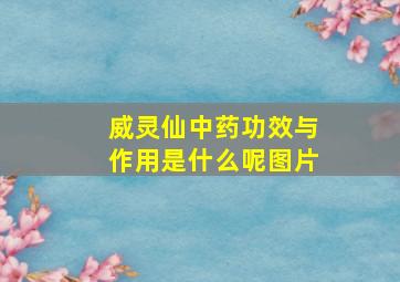 威灵仙中药功效与作用是什么呢图片