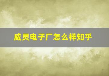 威灵电子厂怎么样知乎