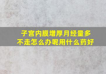 子宫内膜增厚月经量多不走怎么办呢用什么药好