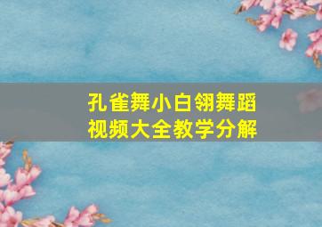 孔雀舞小白翎舞蹈视频大全教学分解