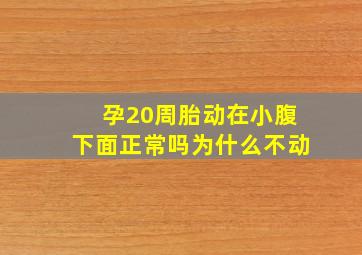 孕20周胎动在小腹下面正常吗为什么不动