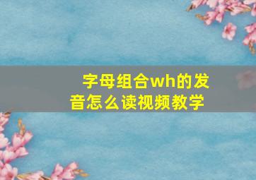 字母组合wh的发音怎么读视频教学