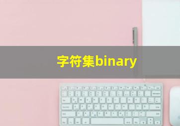 字符集binary