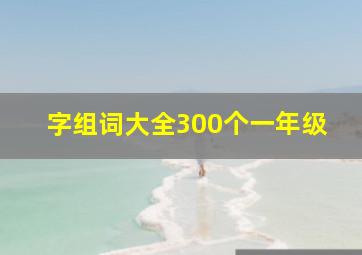 字组词大全300个一年级