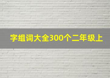 字组词大全300个二年级上