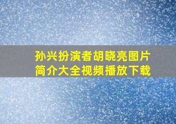 孙兴扮演者胡晓亮图片简介大全视频播放下载