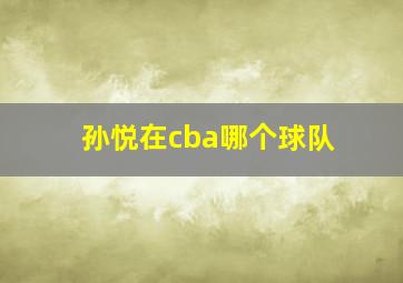 孙悦在cba哪个球队