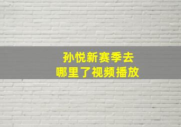 孙悦新赛季去哪里了视频播放