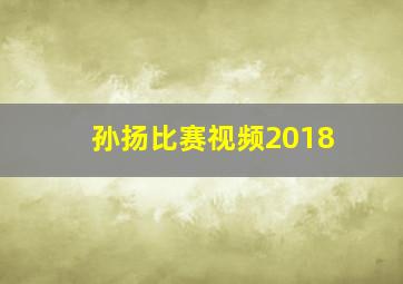 孙扬比赛视频2018