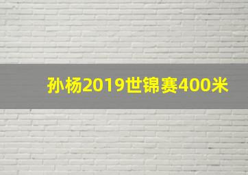 孙杨2019世锦赛400米