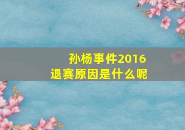 孙杨事件2016退赛原因是什么呢