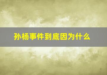 孙杨事件到底因为什么