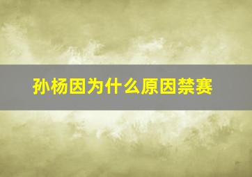 孙杨因为什么原因禁赛