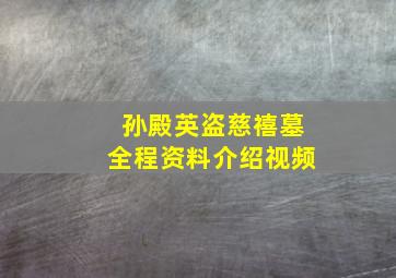 孙殿英盗慈禧墓全程资料介绍视频