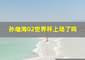 孙继海02世界杯上场了吗