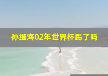 孙继海02年世界杯踢了吗