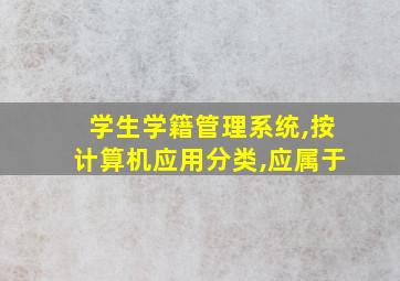 学生学籍管理系统,按计算机应用分类,应属于