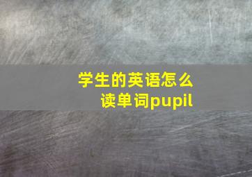 学生的英语怎么读单词pupil