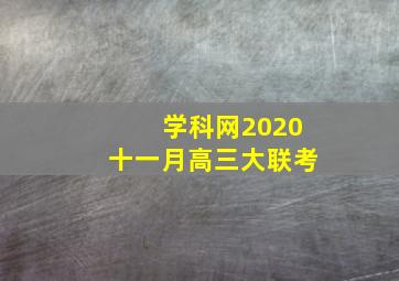 学科网2020十一月高三大联考