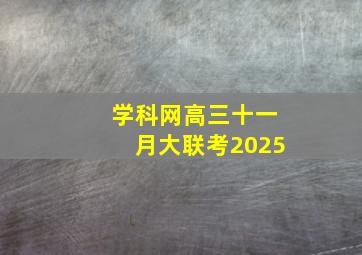 学科网高三十一月大联考2025