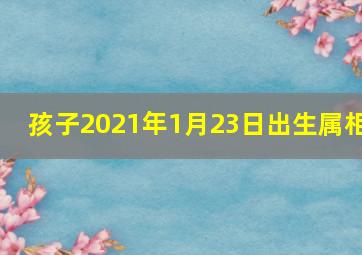 孩子2021年1月23日出生属相