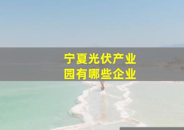 宁夏光伏产业园有哪些企业