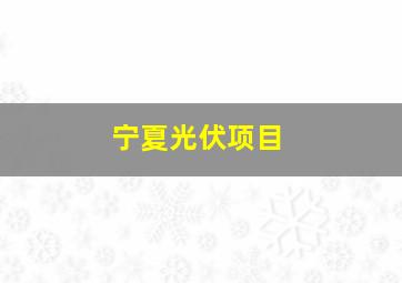 宁夏光伏项目