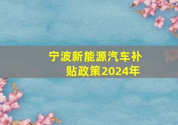 宁波新能源汽车补贴政策2024年