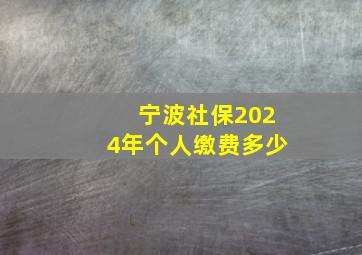 宁波社保2024年个人缴费多少