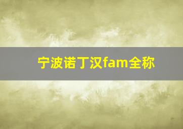 宁波诺丁汉fam全称