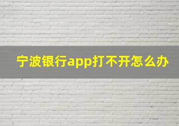 宁波银行app打不开怎么办