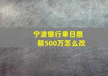 宁波银行单日限额500万怎么改