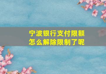 宁波银行支付限额怎么解除限制了呢