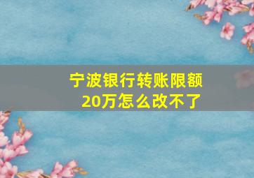 宁波银行转账限额20万怎么改不了