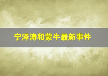 宁泽涛和蒙牛最新事件