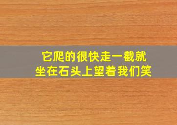 它爬的很快走一截就坐在石头上望着我们笑