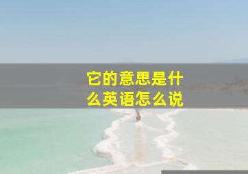 它的意思是什么英语怎么说