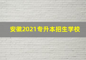 安徽2021专升本招生学校