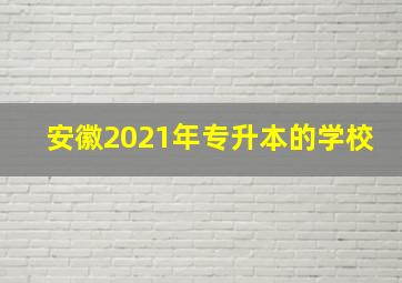 安徽2021年专升本的学校