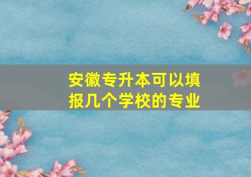 安徽专升本可以填报几个学校的专业