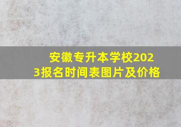 安徽专升本学校2023报名时间表图片及价格